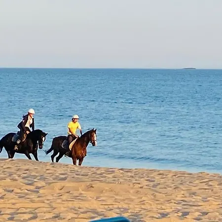 La Raboliere Quartier Lajarrige A La Baule