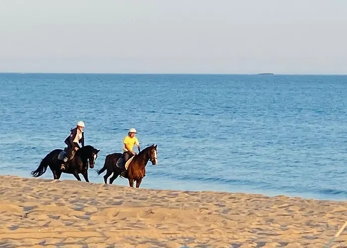 La Raboliere Quartier Lajarrige A La Baule