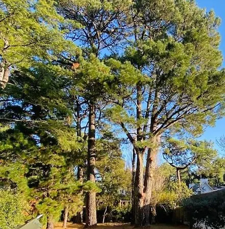 Σπίτι διακοπών La Raboliere Quartier Lajarrige A La Baule