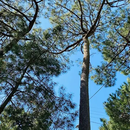 La Raboliere Quartier Lajarrige A Σπίτι διακοπών La Baule
