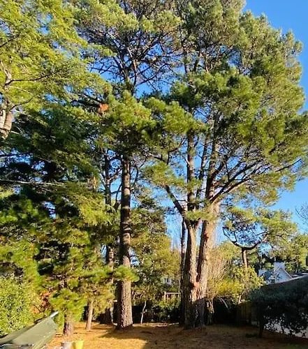 Nyaraló La Raboliere Quartier Lajarrige A La Baule