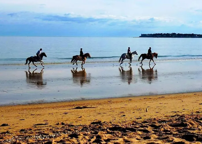 La Raboliere Quartier Lajarrige A * La Baule