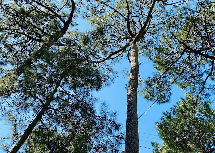 La Raboliere Quartier Lajarrige A Nyaraló La Baule