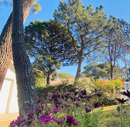 La Raboliere Quartier Lajarrige A